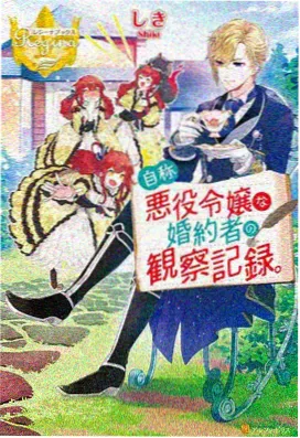 辻本夏实角色形象